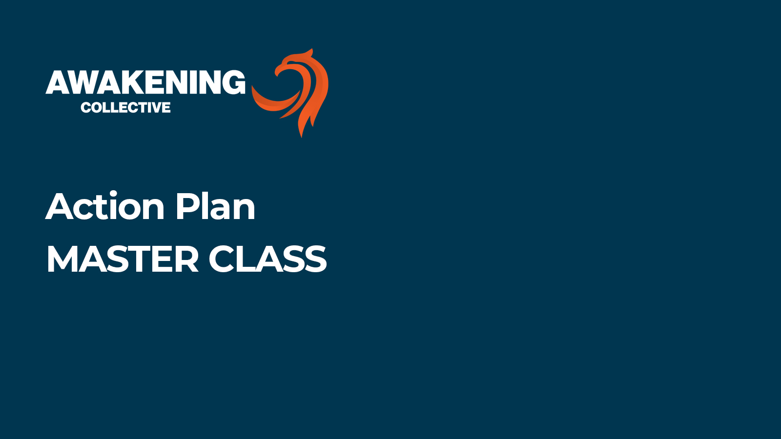 Action Plan